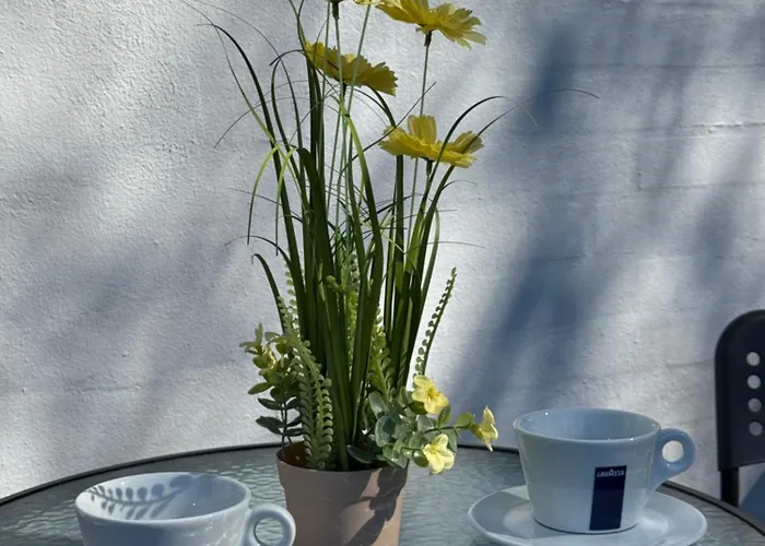 Apartment Briks And Dreams *